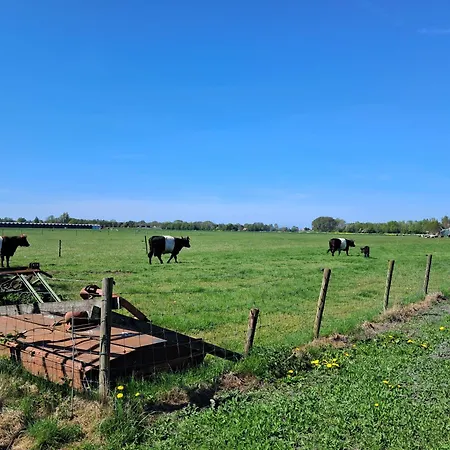De Rozenbottel Met Prive Sanitair Kemping *