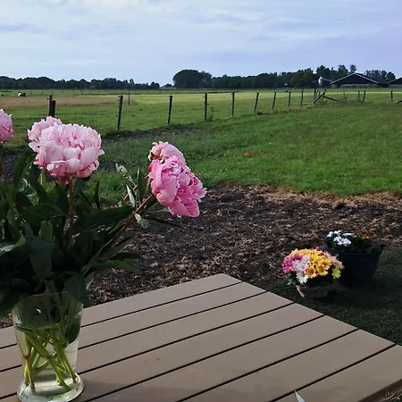 De Rozenbottel Met Prive Sanitair אתר קמפינג Hensbroek