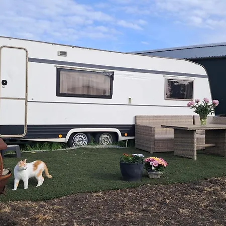 אתר קמפינג De Rozenbottel Met Prive Sanitair